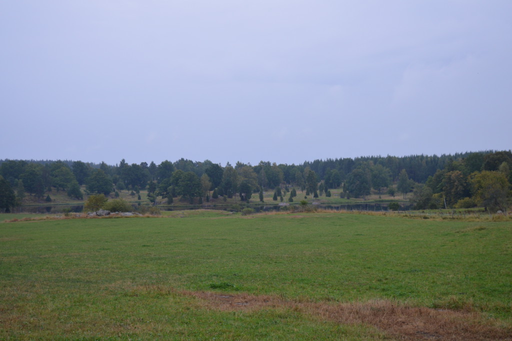 Höstfärgerna framträder allt mer