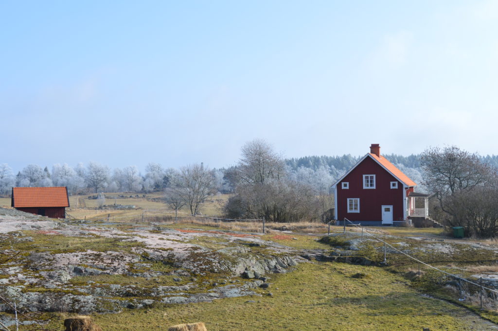 Fin utsikt från köket över landskapet och grannarnas hus.