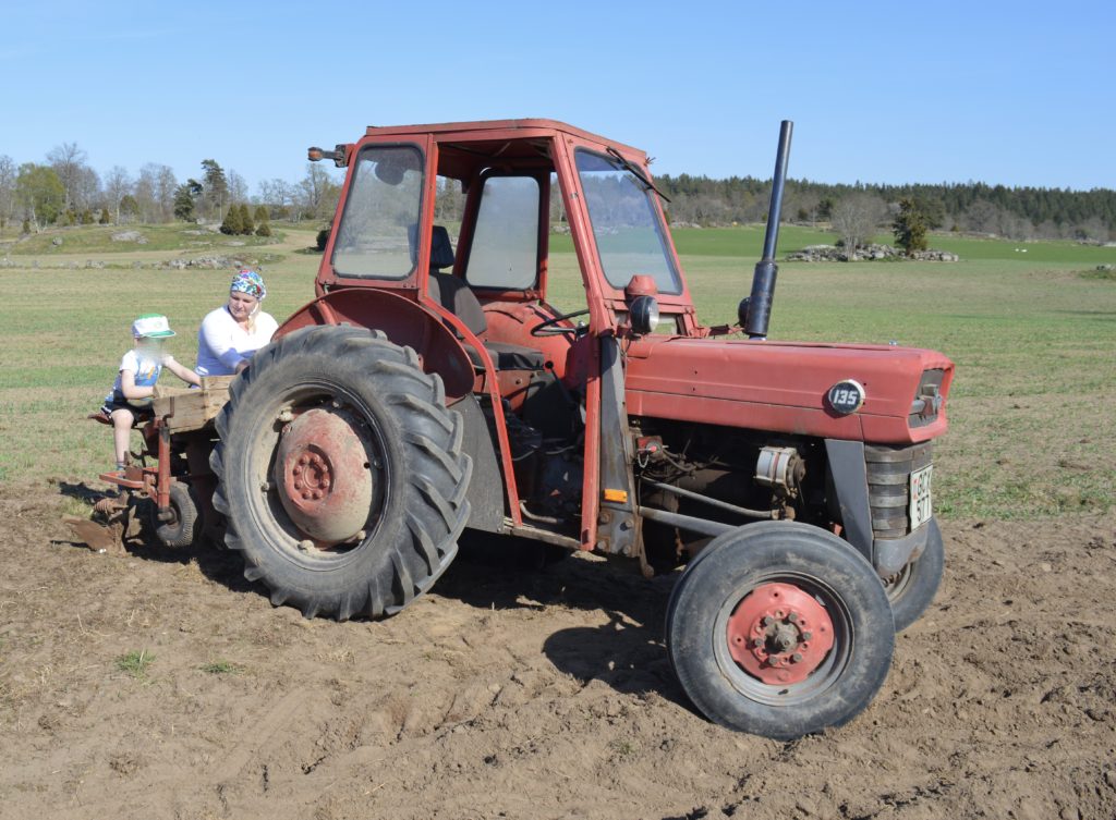 Ferguson 135